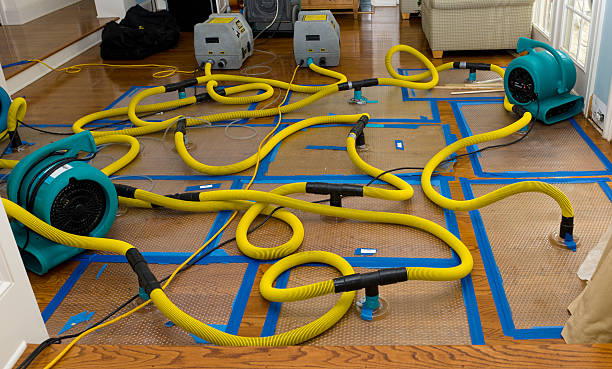 Professional Crawl Space Water Removal technician working in Leoma, TN